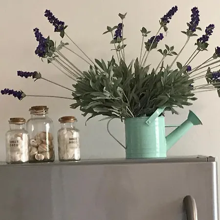 Apartament Residenza Viel